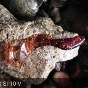 Orka SIRENA SI-10 V